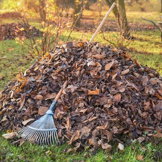 laubrechen laubrechen