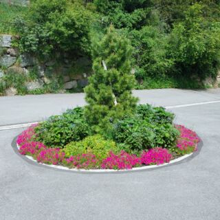 20240522_134912 20240522_134912