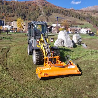 20241021_135344 20241021_135344